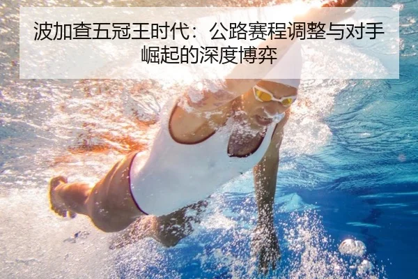 bo-jia-cha-wu-guan-wang-shi-dai-gong-lu-sai-cheng-tiao-zheng-yu-dui-shou-jue-qi-de-shen-du-bo-yi-2-530.jpg