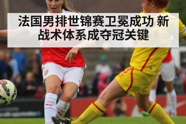法国男排世锦赛卫冕成功 新战术体系成夺冠关键
