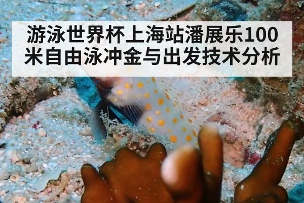 游泳世界杯上海站潘展乐100米自由泳冲金与出发技术分析